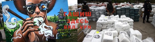 скорость Каменка